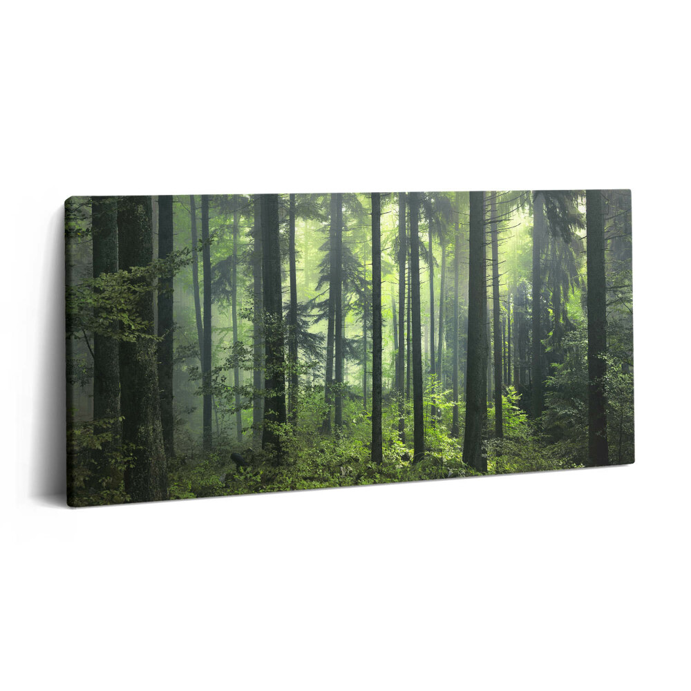 Imprimare tablou canvas 120x60 Peisaj de copaci și vegetație forestieră