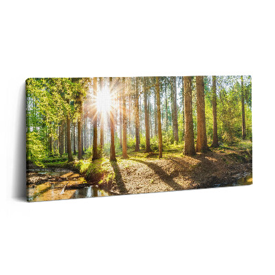 Imprimare tablou canvas 120x60 Soarele din spatele copacilor din pădure