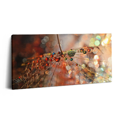 Imprimare tablou canvas 120x60 Păpădie și rouă