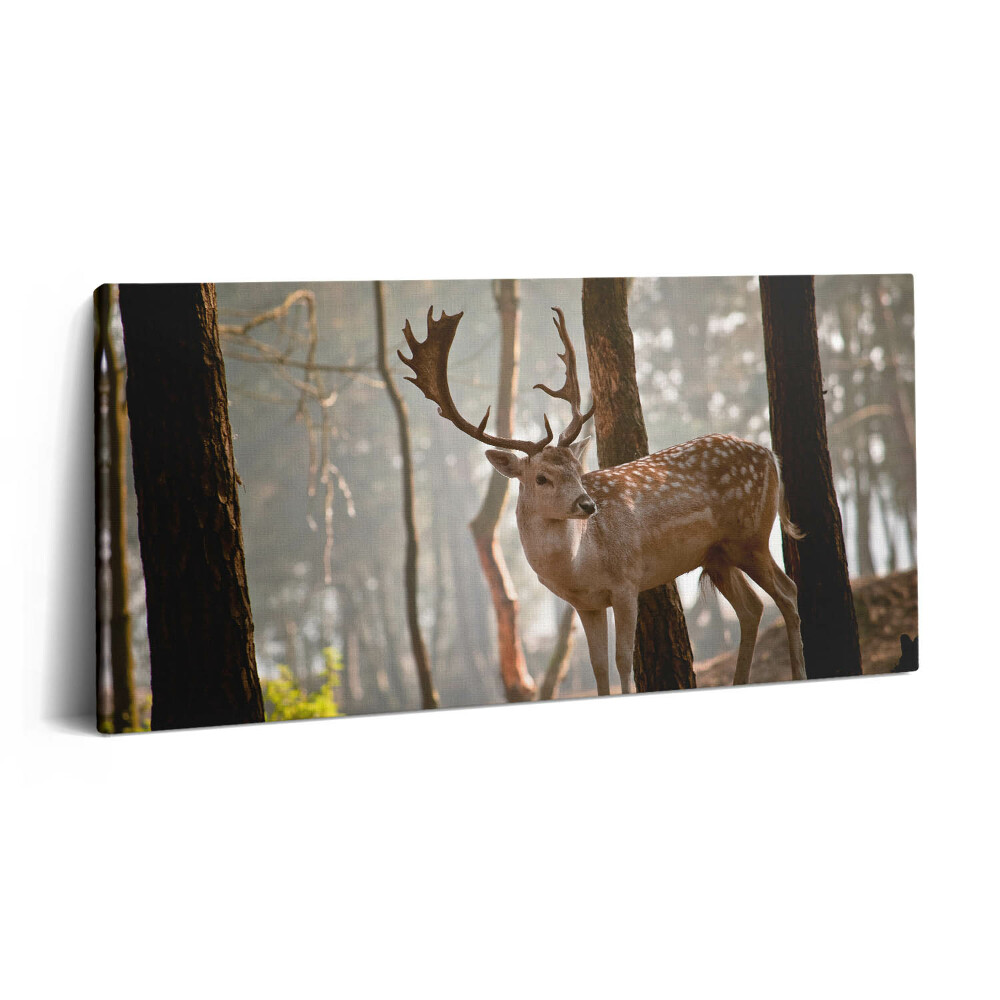 Imprimare tablou canvas 120x60 Cerbi în strălucirea soarelui care răsare