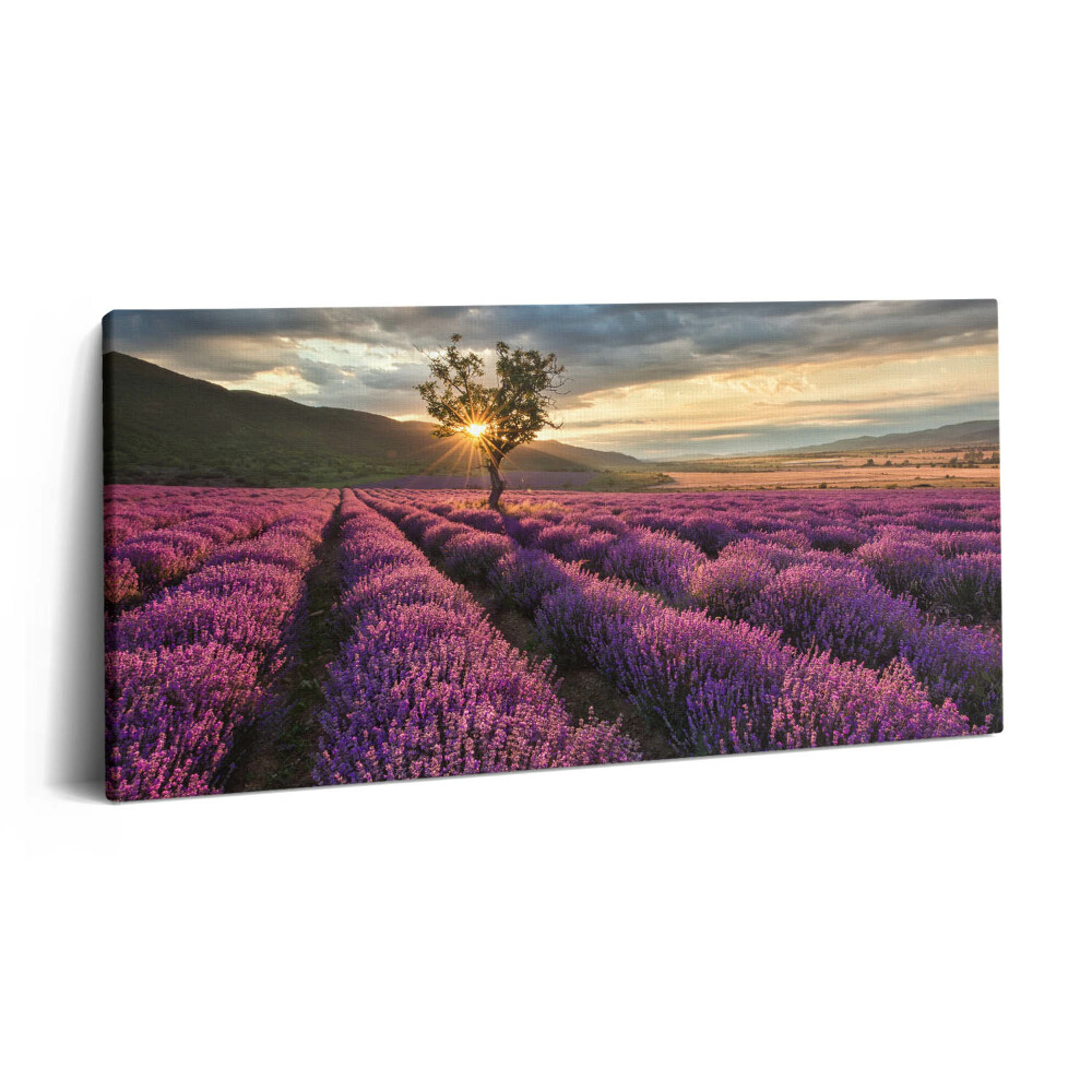 Imprimare tablou canvas 120x60 Peisaj de câmp de lavandă