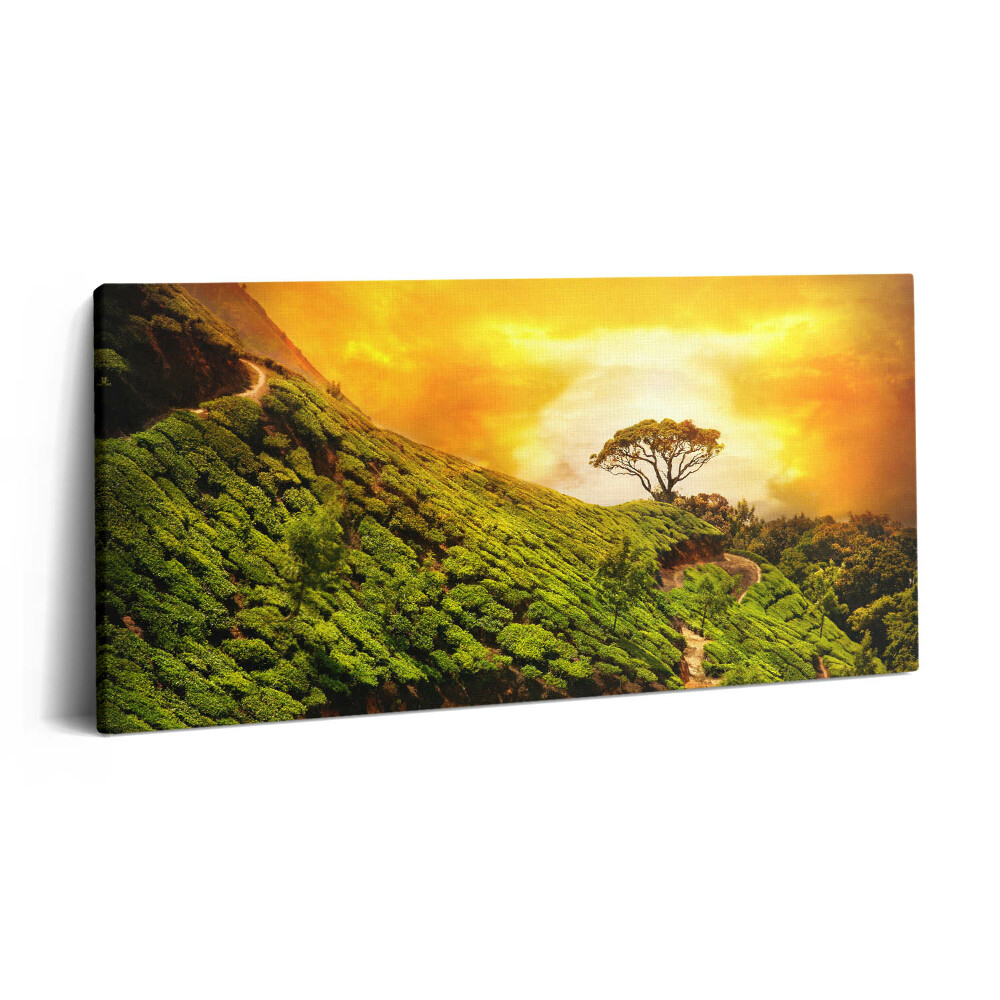 Imprimare tablou canvas 120x60 Dealul Ceaiului