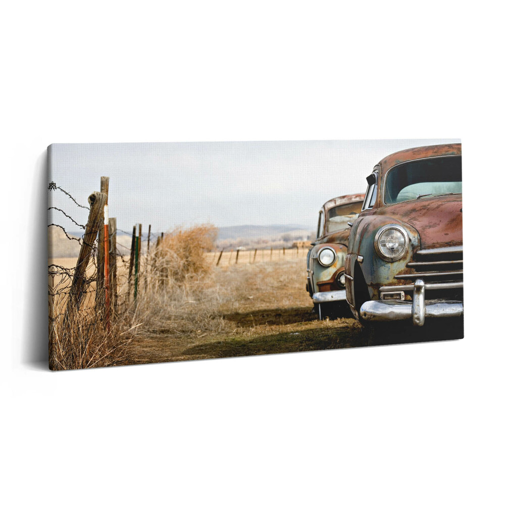 Imprimare tablou canvas 120x60 Mașini vechi abandonate