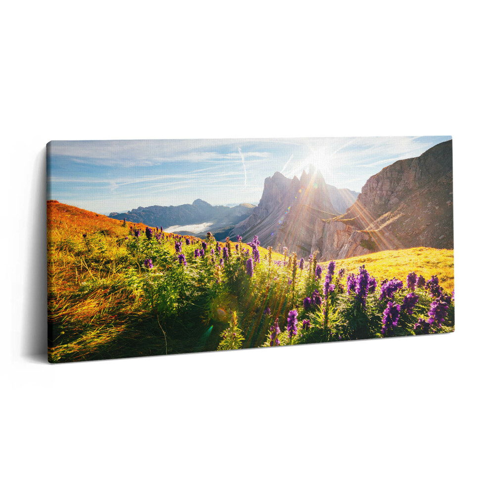 Imprimare tablou canvas 120x60 Pajiște de lavandă