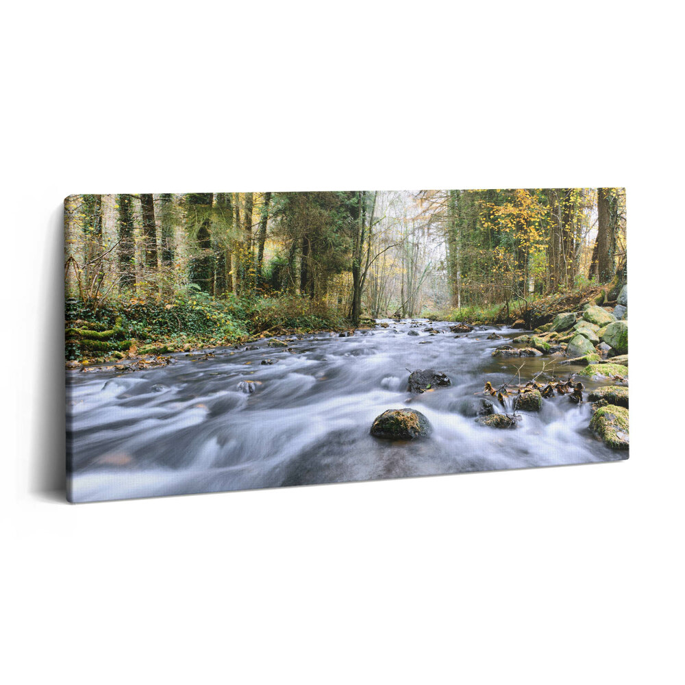 Imprimare tablou canvas 120x60 Pârâu de munte