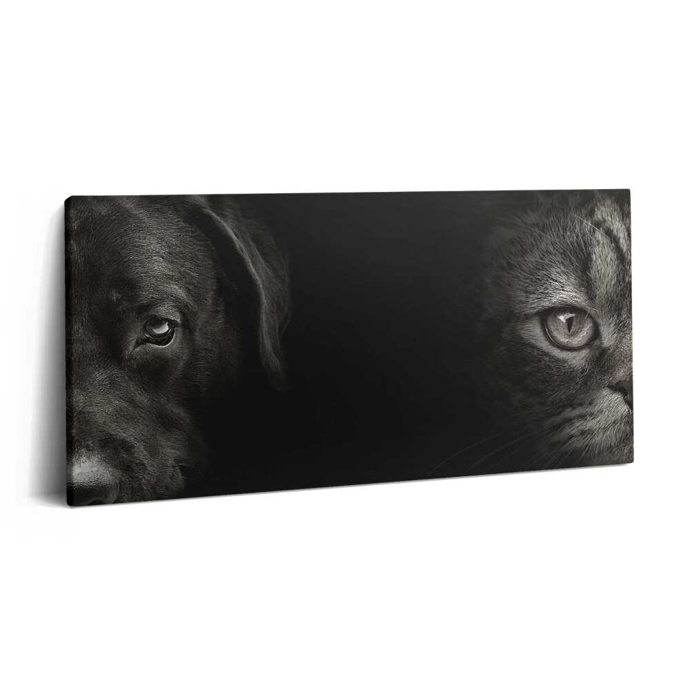 Imprimare tablou canvas 120x60 Câine labrador și pisică scoțiană