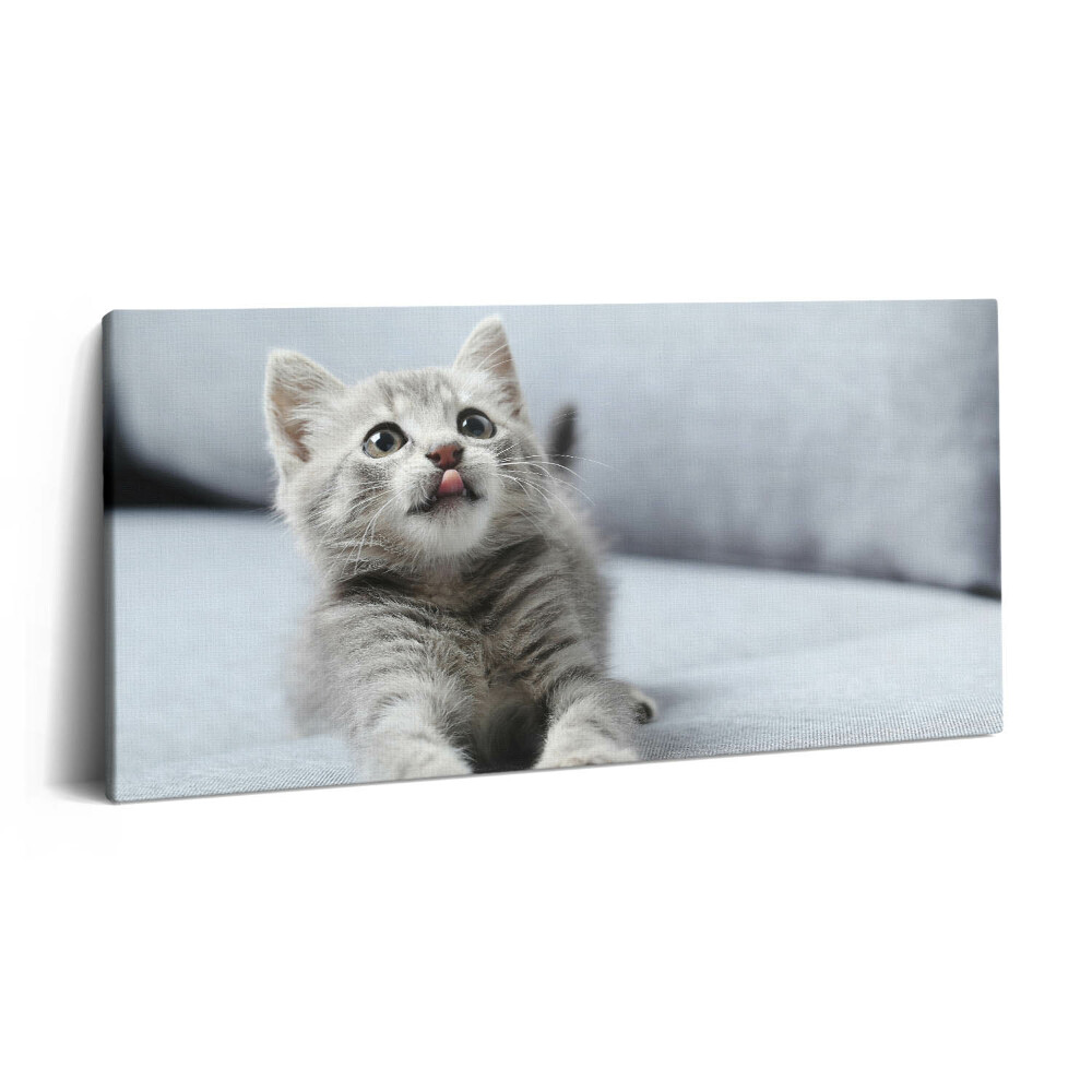 Imprimare tablou canvas 120x60 Pisicuță drăguță pe canapea