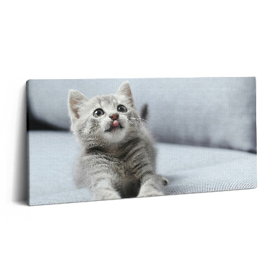 Imprimare tablou canvas 120x60 Pisicuță drăguță pe canapea