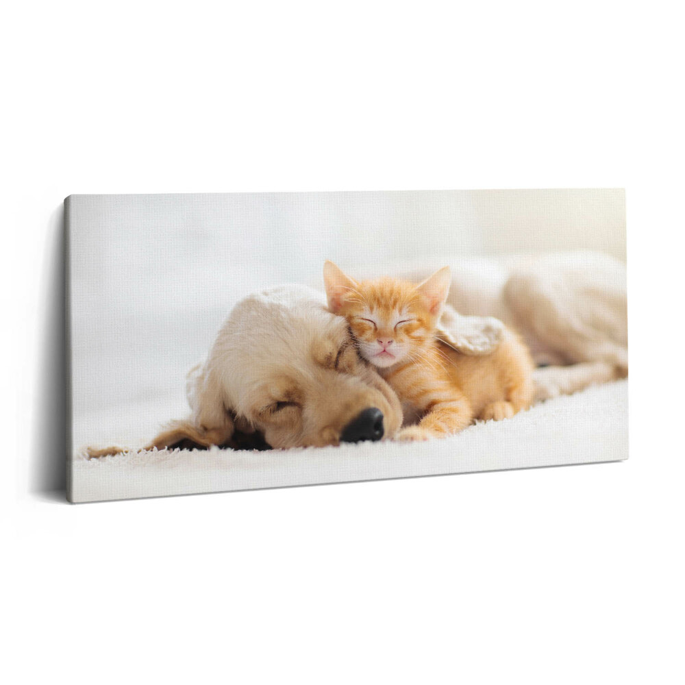 Imprimare tablou canvas 120x60 Animale care dorm, pisică și câine