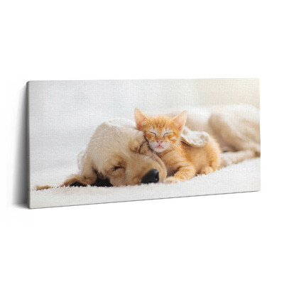 Imprimare tablou canvas 120x60 Animale care dorm, pisică și câine