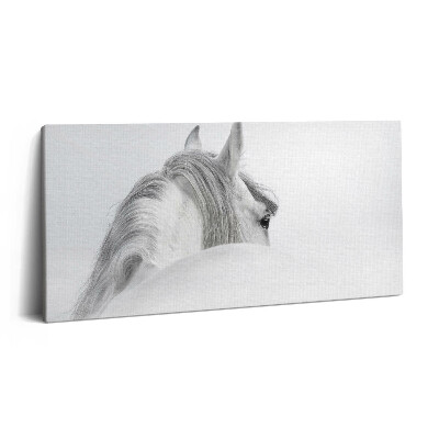 Imprimare tablou canvas 120x60 Cal andaluz în ceață