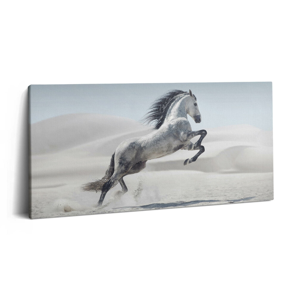 Imprimare tablou canvas 120x60 Cal alb galopant
