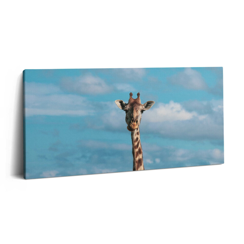 Imprimare tablou canvas 120x60 Cap de girafă pe cer