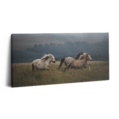 Imprimare tablou canvas 120x60 Caii galopând în sus