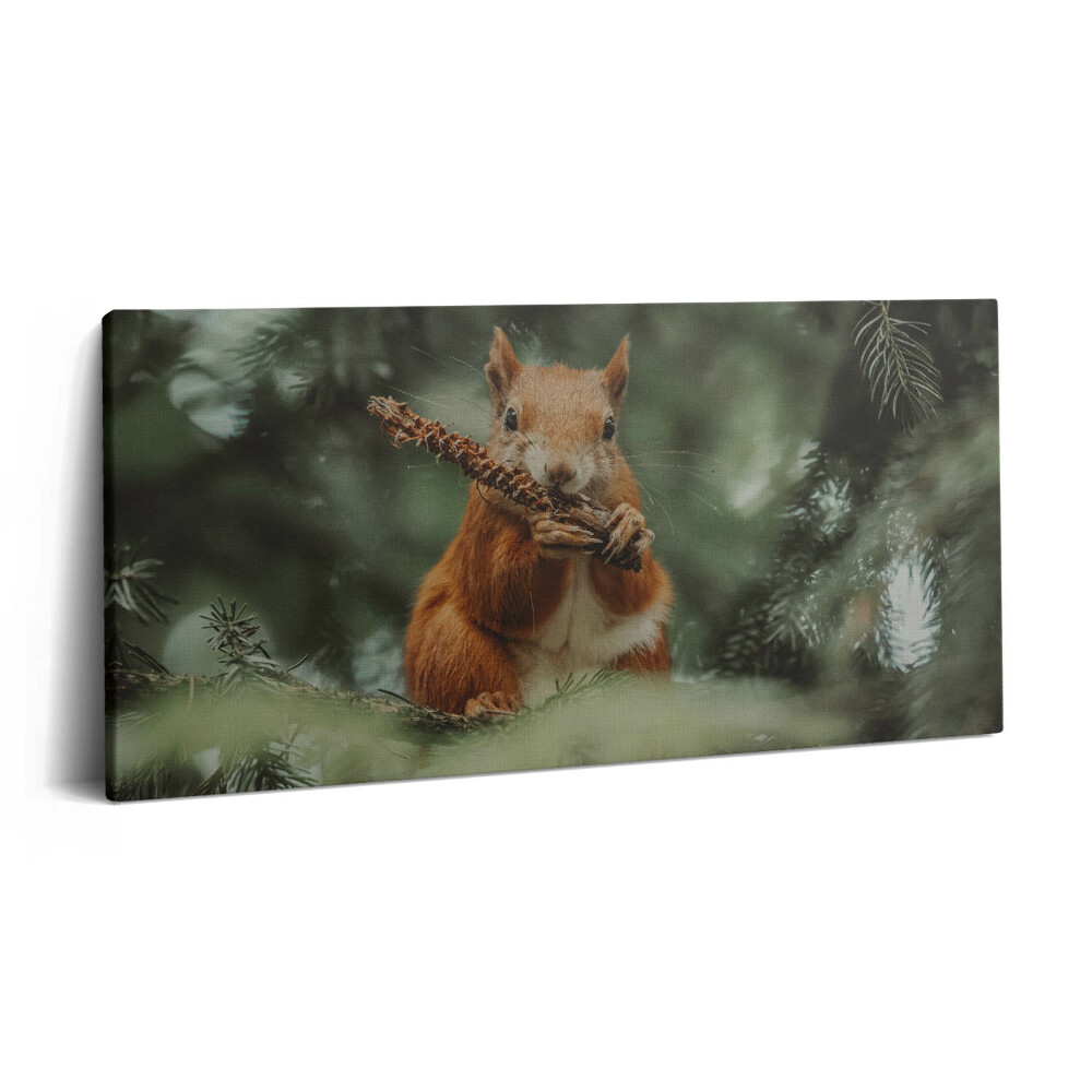 Imprimare tablou canvas 120x60 Veveriță sălbatică din natură