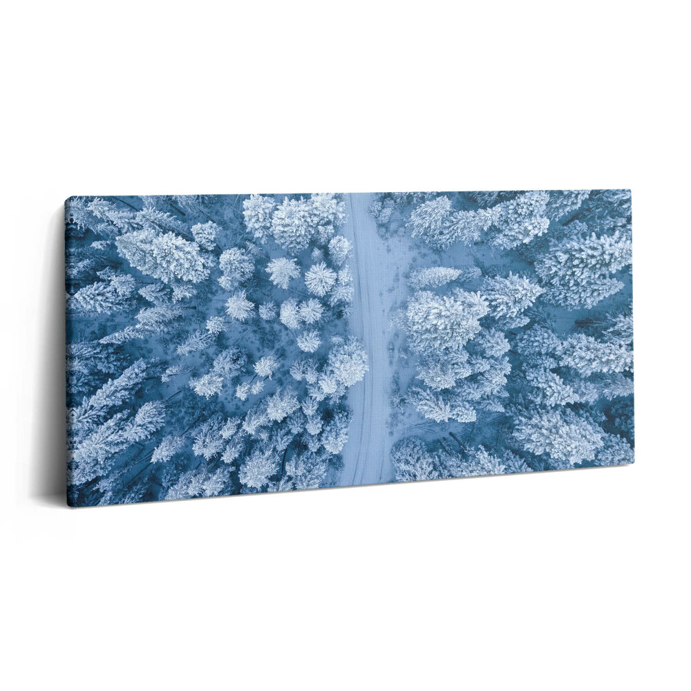 Imprimare tablou canvas 120x60 Vedere aeriană a pădurii. Drone