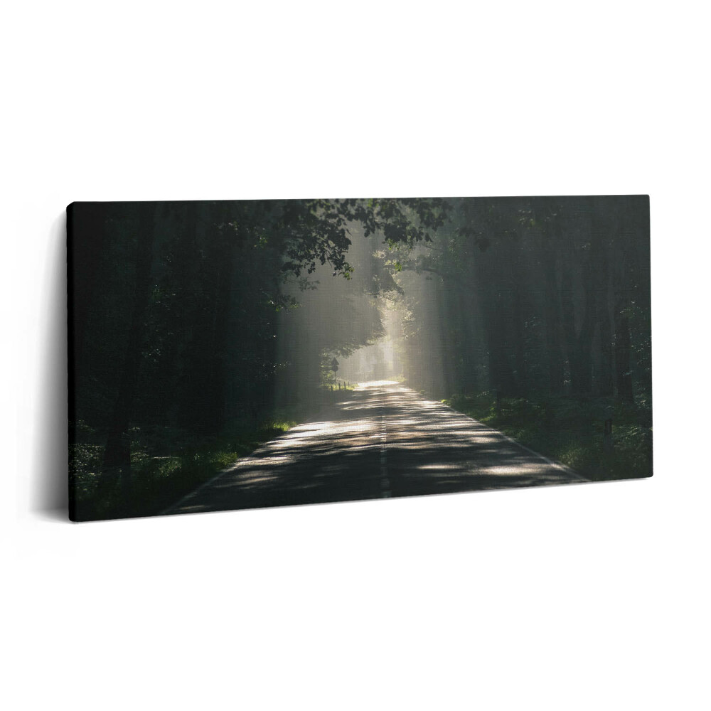 Imprimare tablou canvas 120x60 Drum forestier și fâșii de soare