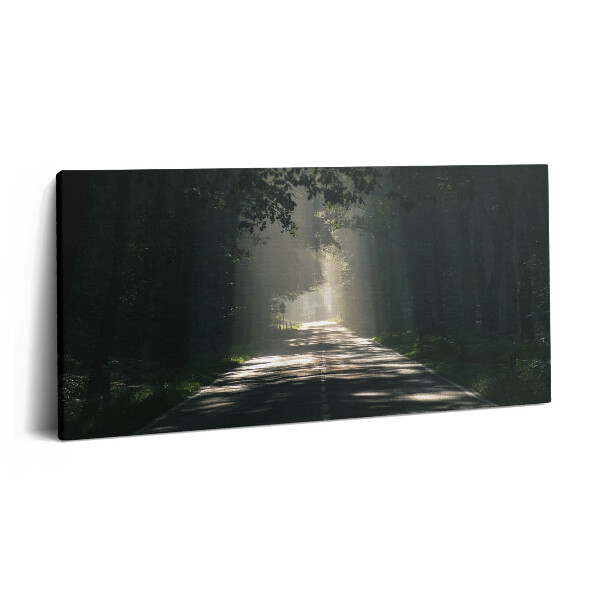 Imprimare tablou canvas 120x60 Drum forestier și fâșii de soare