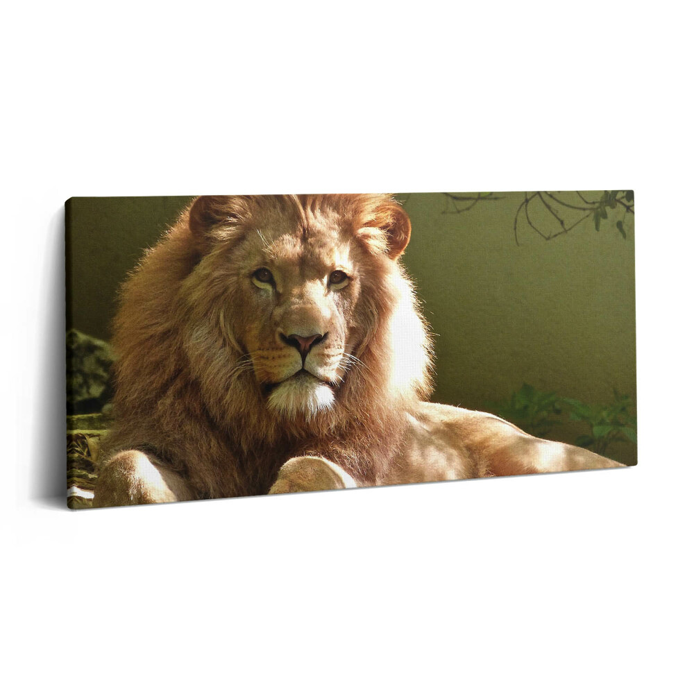 Imprimare tablou canvas 120x60 Portretul unui leu sălbatic