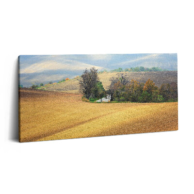 Imprimare tablou canvas 120x60 Peisaj rural moravian