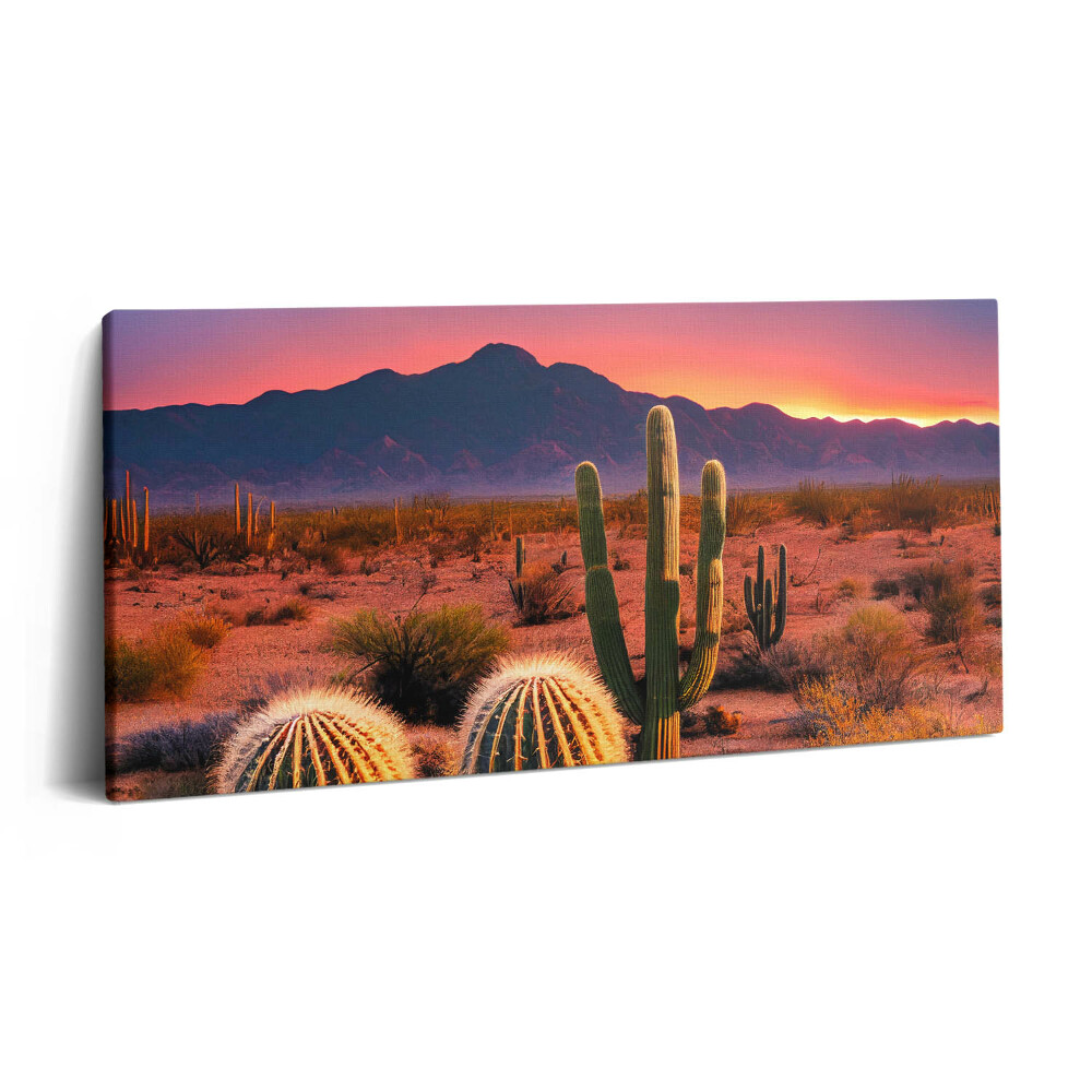 Imprimare tablou canvas 120x60 Apus de soare în deșert