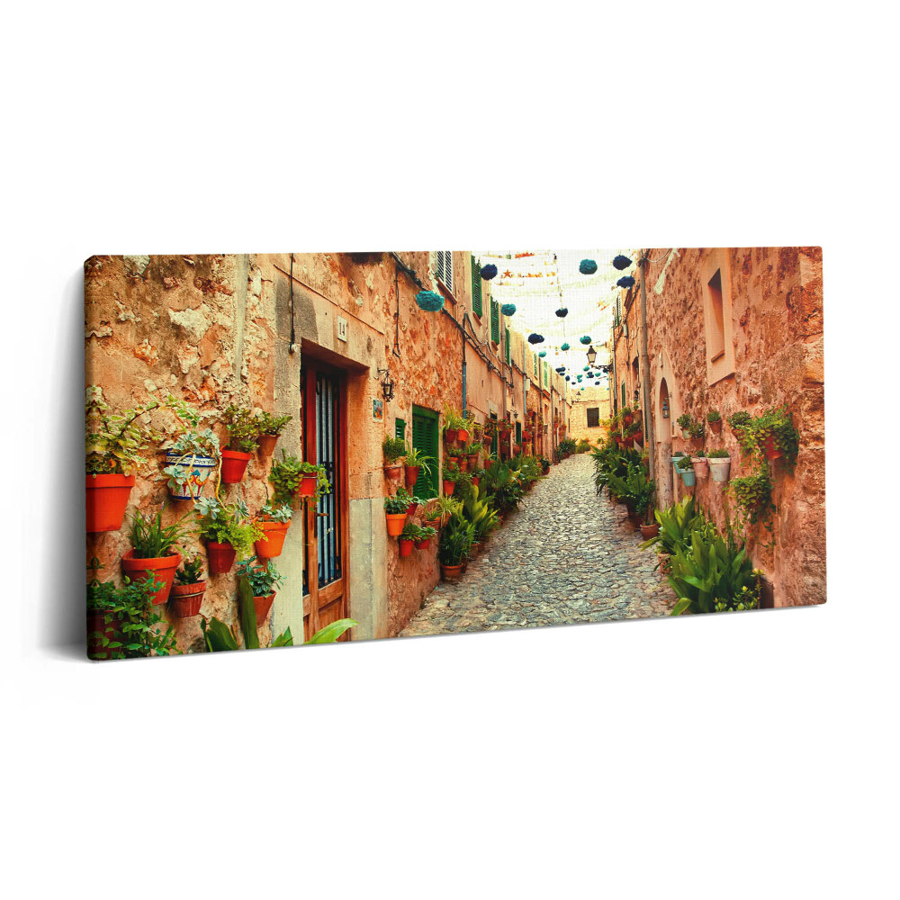 Imprimare tablou canvas 120x60 O stradă din satul Valldemossa