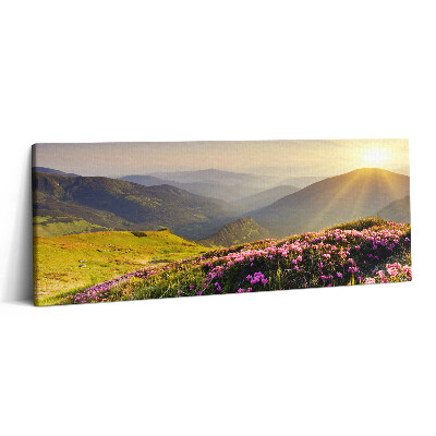 Print pe canvas 125x50 Munți și o pajiște cu flori