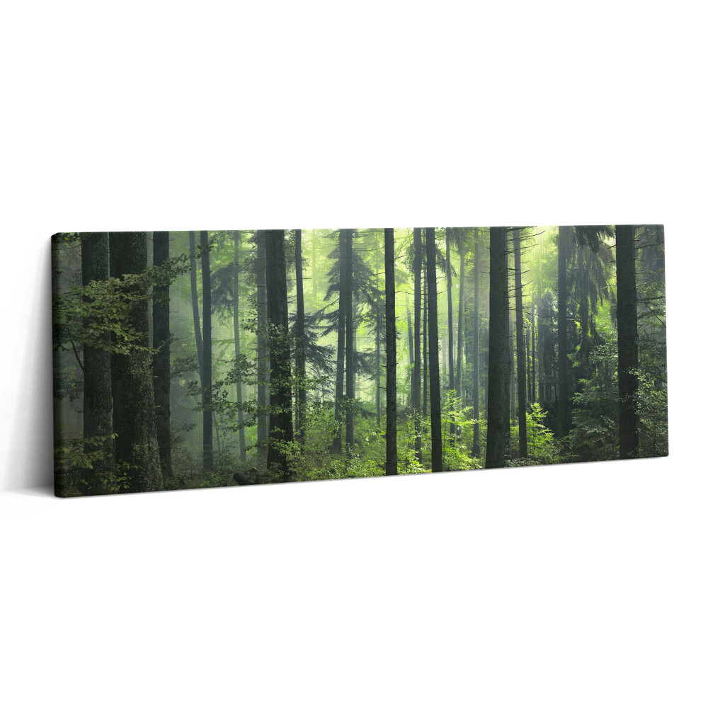 Print pe canvas 125x50 Peisaj de copaci și vegetație forestieră