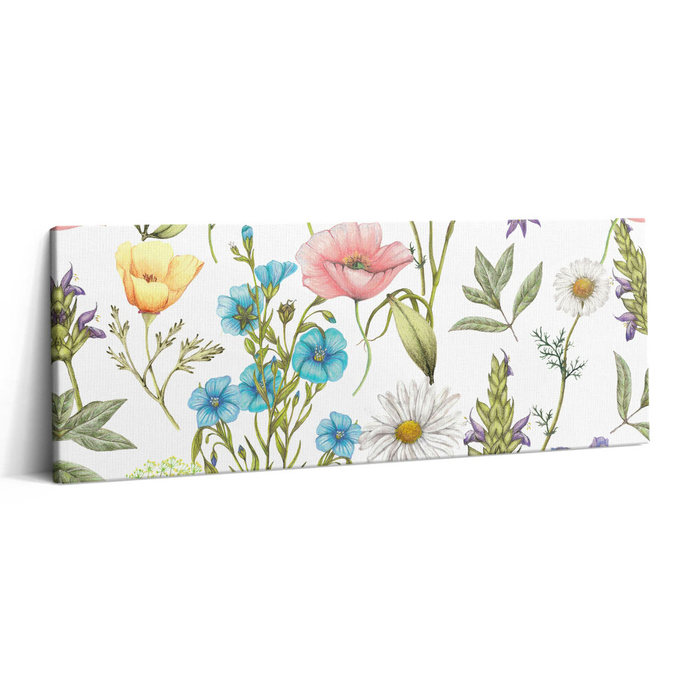 Print pe canvas 125x50 Ilustrație florală - pajiște cu flori