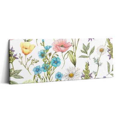 Print pe canvas 125x50 Ilustrație florală - pajiște cu flori