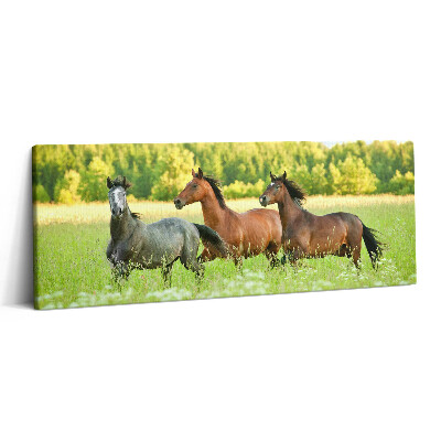 Print pe canvas 125x50 Cai armăsari în pajiște