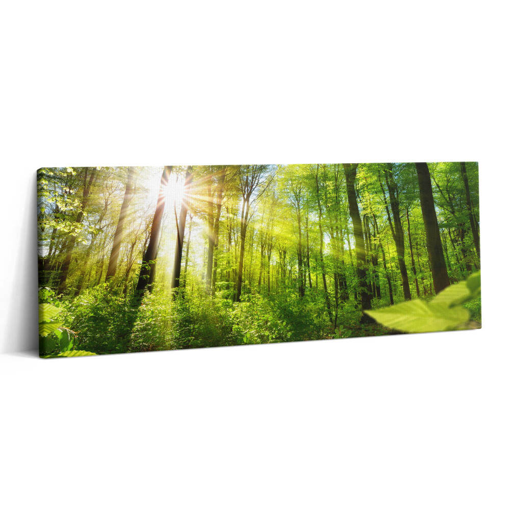 Print pe canvas 125x50 Razele soarelui în pădure