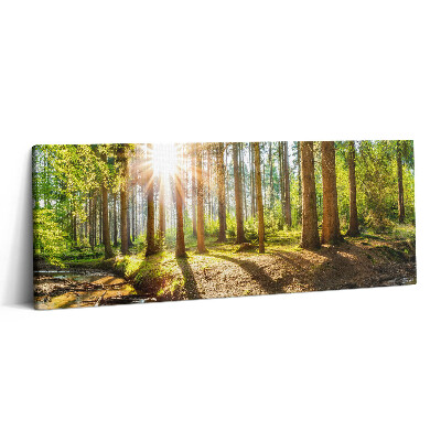 Print pe canvas 125x50 Soarele din spatele copacilor din pădure