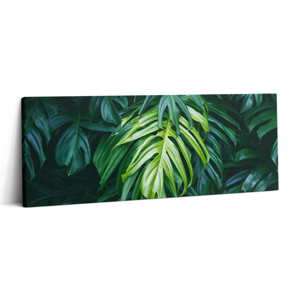 Print pe canvas 125x50 Natură tropicală - frunze de monstera