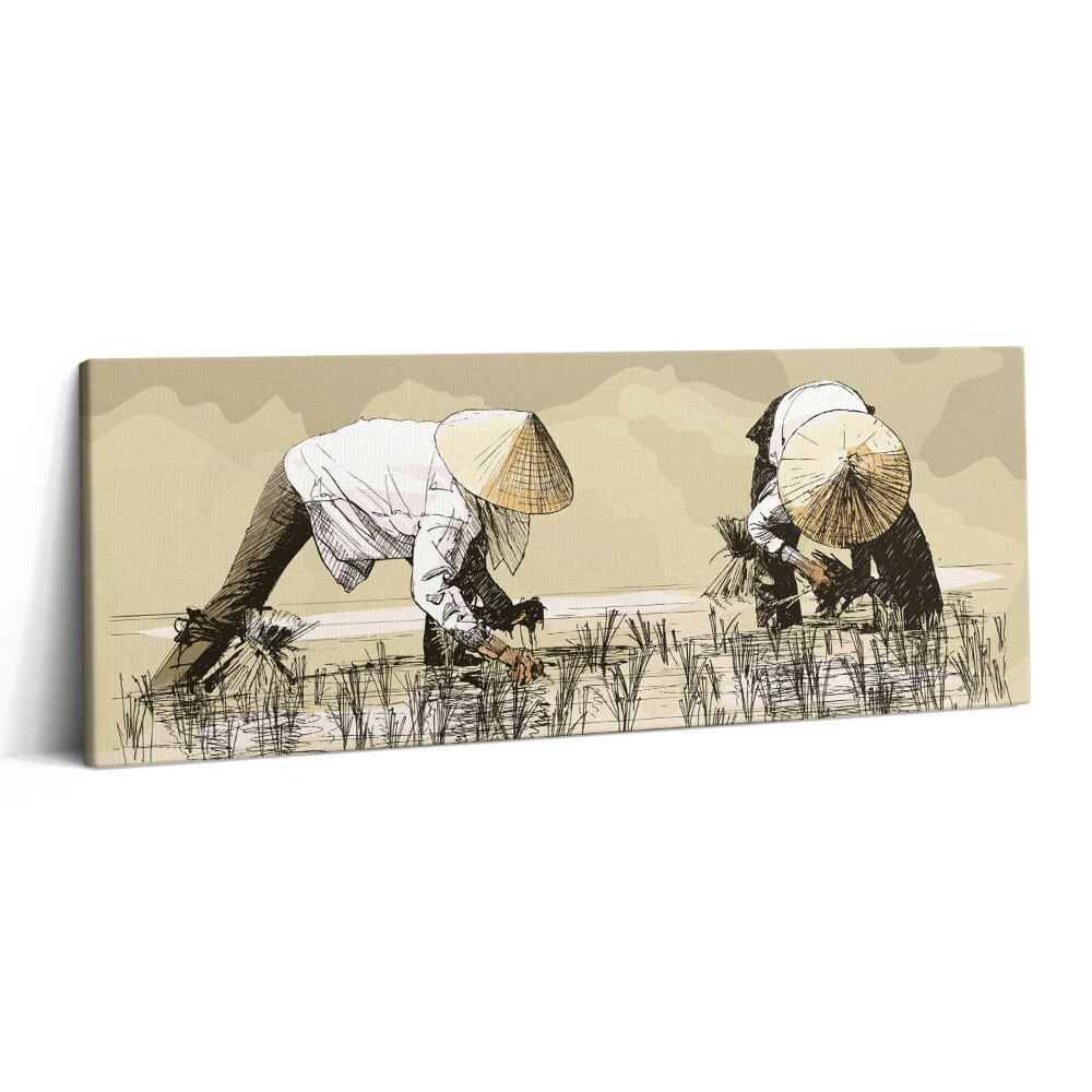 Print pe canvas 125x50 Două femei recoltează orez în Asia