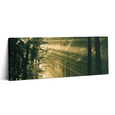 Print pe canvas 125x50 Razele soarelui în pădure