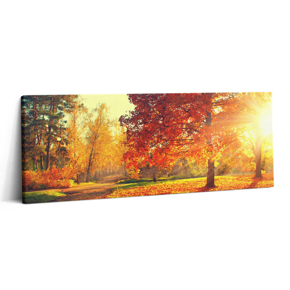 Print pe canvas 125x50 Parc de toamnă