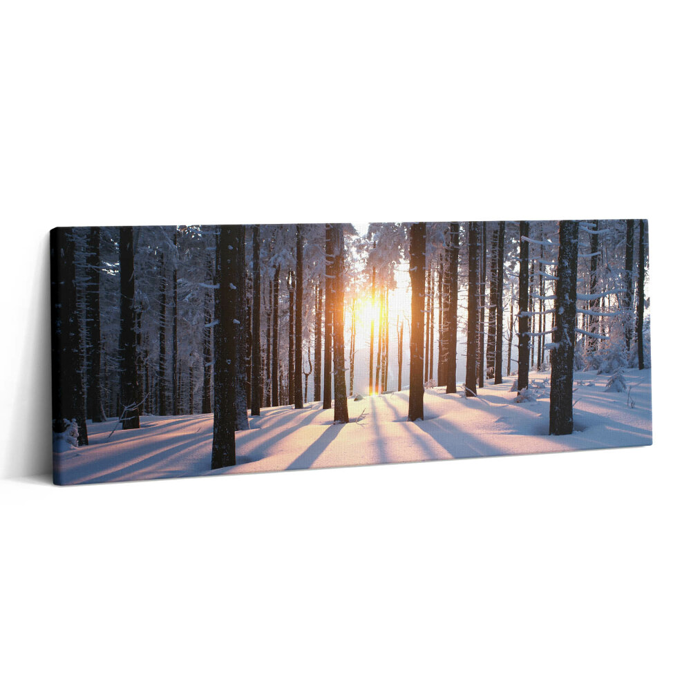 Print pe canvas 125x50 Apus de soare și pădure iarna
