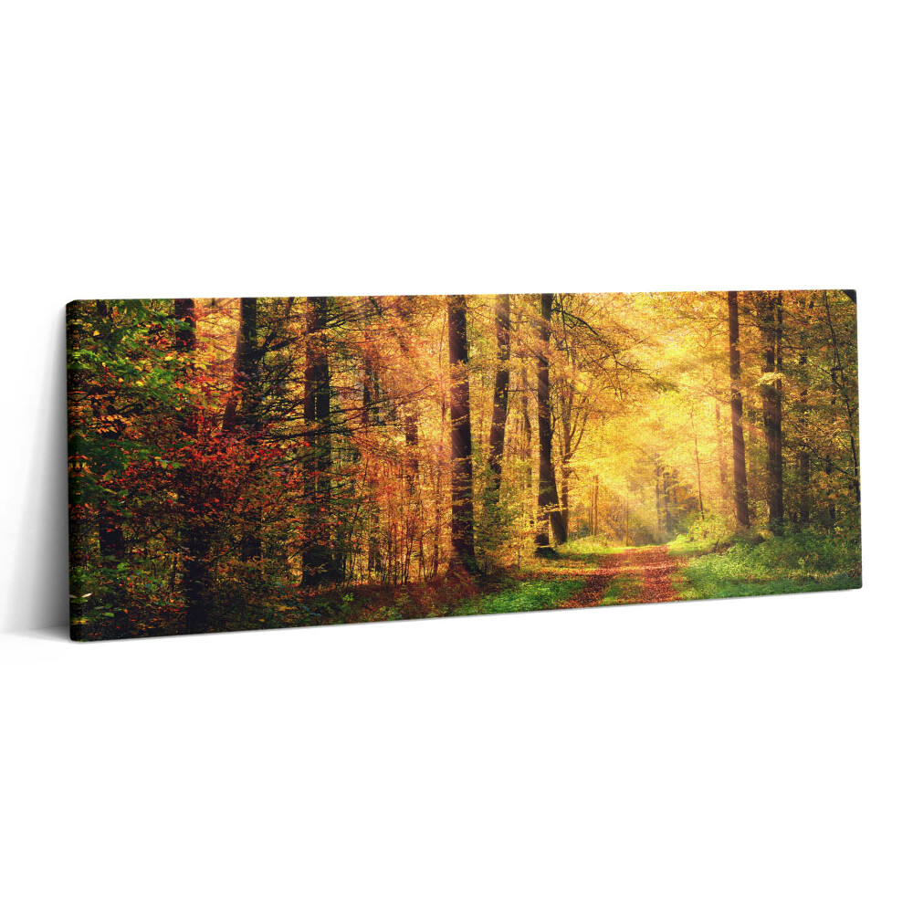 Print pe canvas 125x50 Peisaj de pădure de toamnă