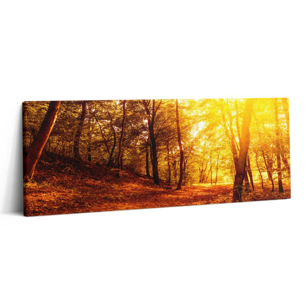 Print pe canvas 125x50 Peisaj apus de soare de toamnă