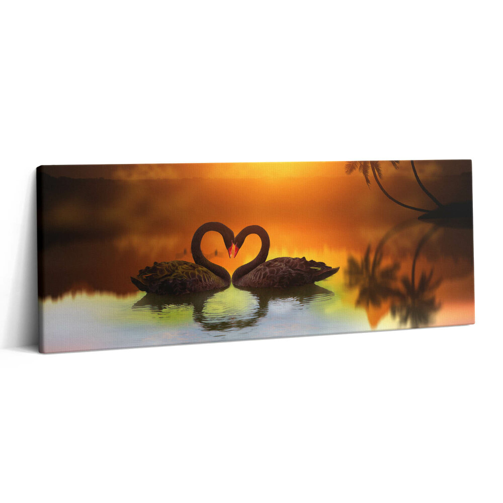 Print pe canvas 125x50 Frumoasă lebădă neagră pe lac