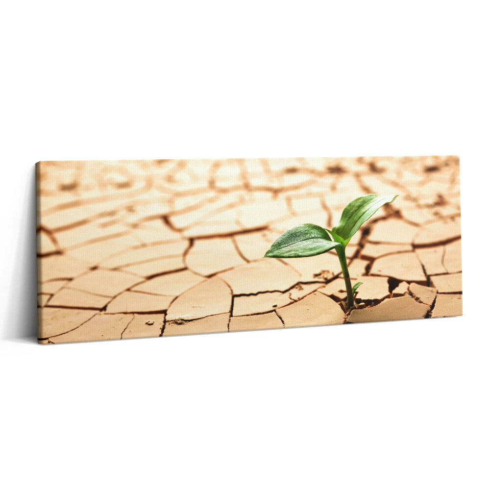 Print pe canvas 125x50 Plantați în sol uscat