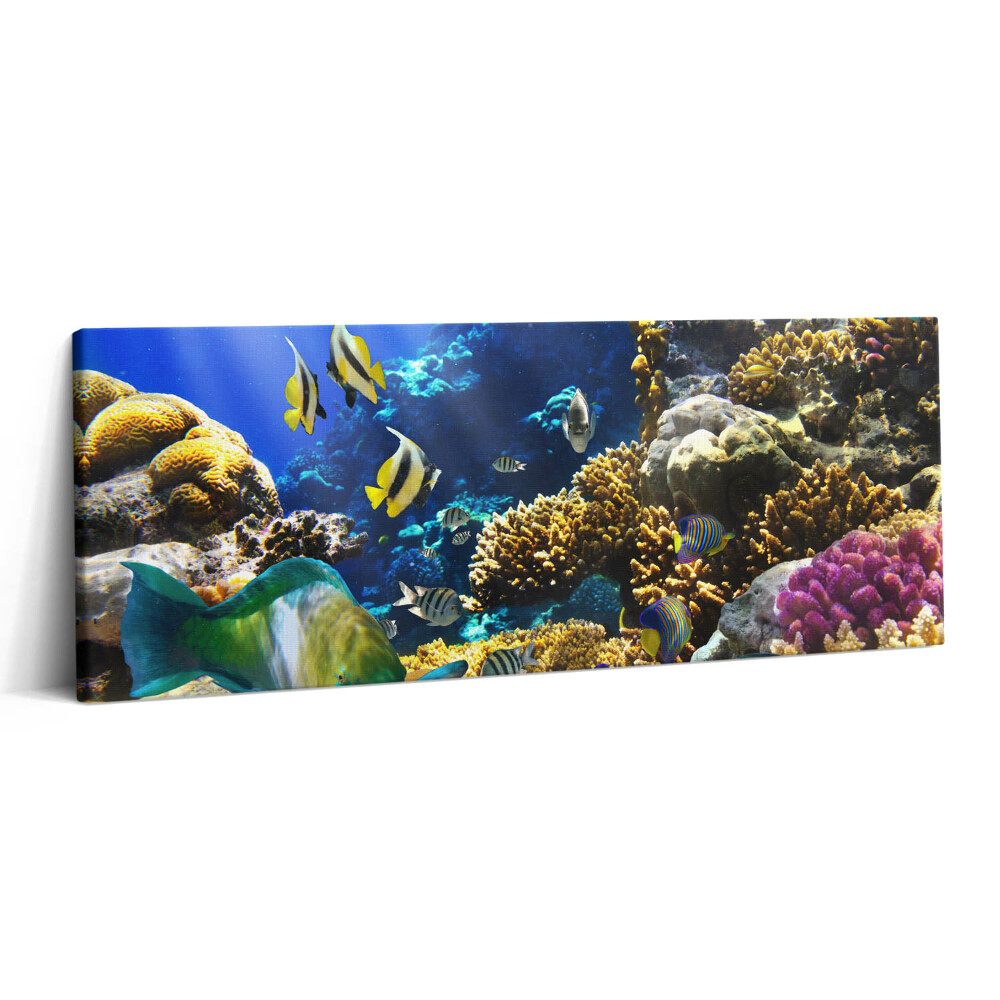 Print pe canvas 125x50 Fotografie cu pești pe un recif de corali