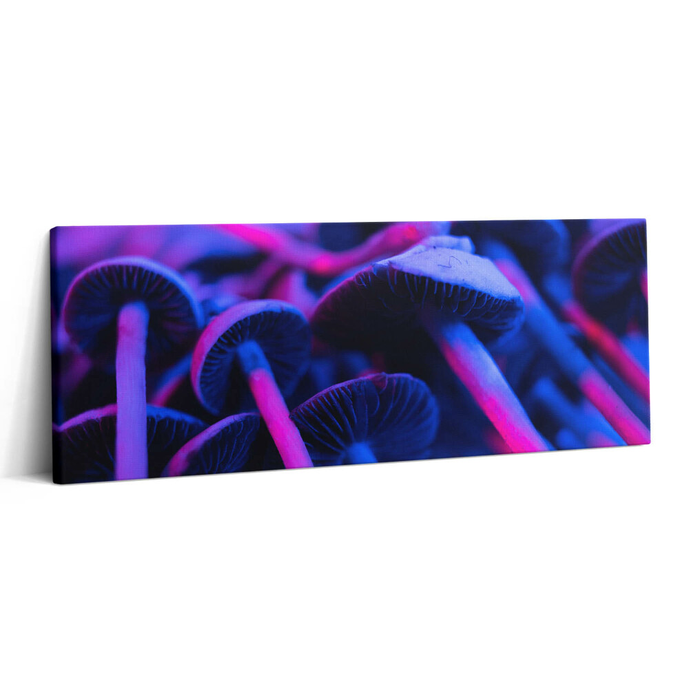 Print pe canvas 125x50 Ciuperci magice colorate