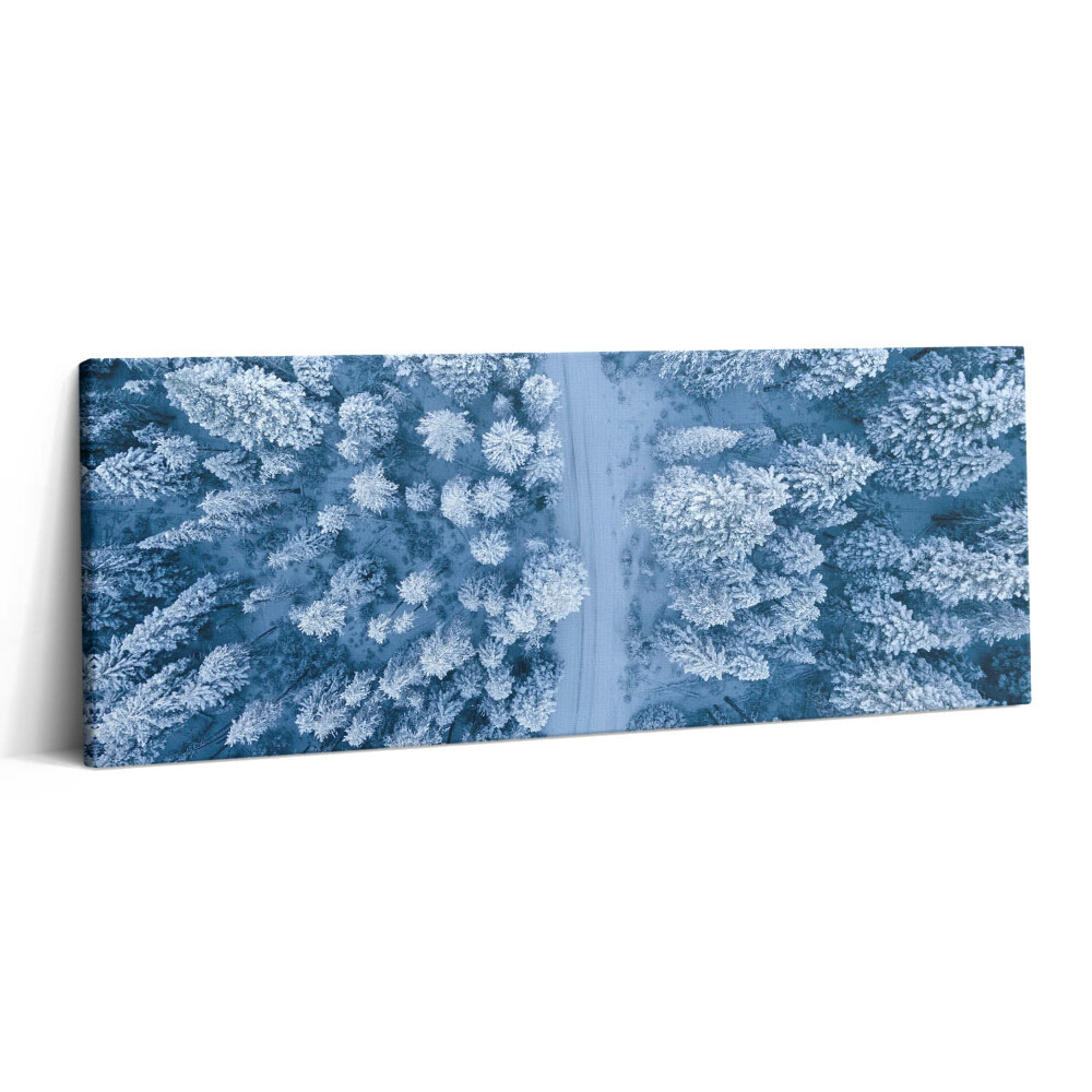 Print pe canvas 125x50 Vedere aeriană a pădurii. Drone