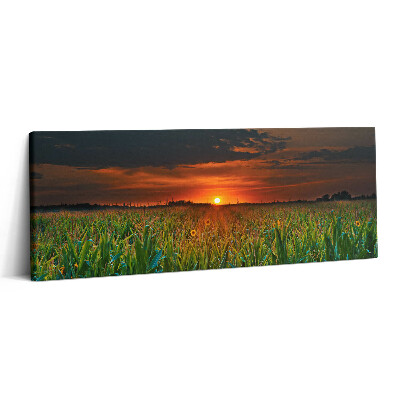 Print pe canvas 125x50 Floarea-soarelui în pajiște