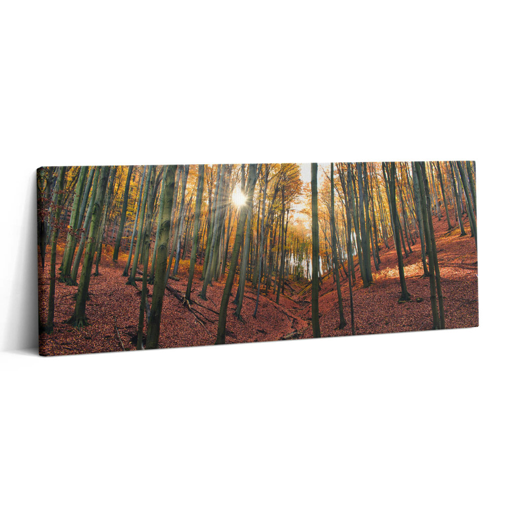 Print pe canvas 125x50 Apus de soare și copaci