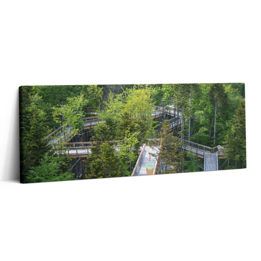 Print pe canvas 125x50 Calea în Krynica Zdrój