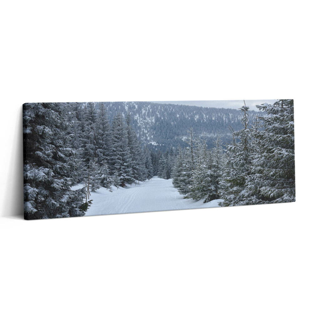 Print pe canvas 125x50 Munții Giganți Cehi în timpul iernii