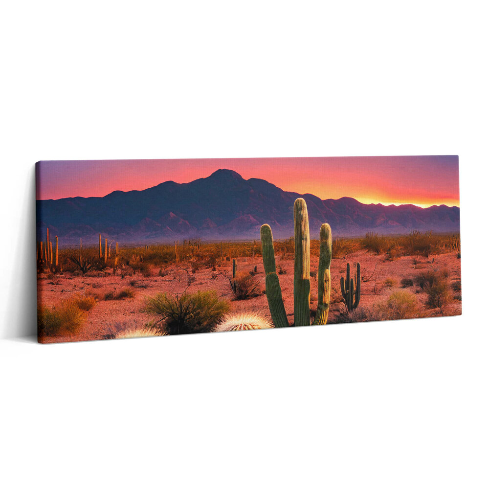 Print pe canvas 125x50 Apus de soare în deșert